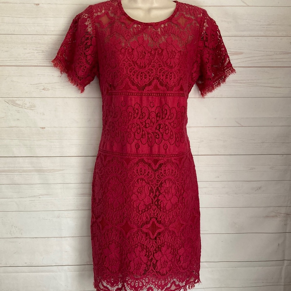 Free People Size 12 Fuchsia Romantic Eyelash  Lace Dress